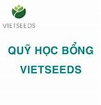 Tên Đúng Của Quỹ Học Bổng Vietseeds Là Gì